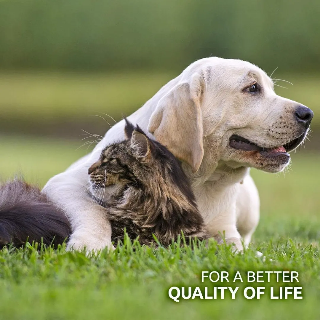 AniForte Organic Hemp Oil for Pets