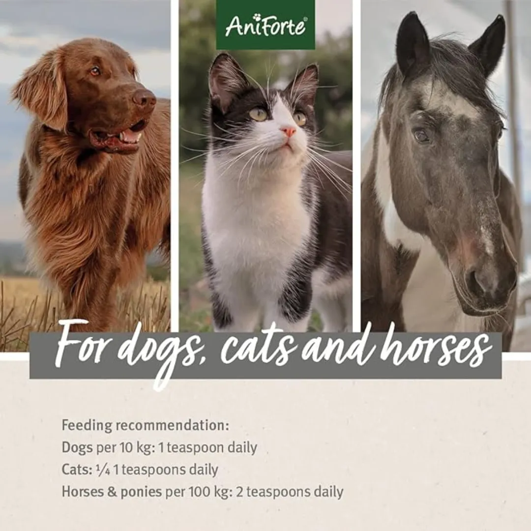 AniForte Organic Hemp Oil for Pets