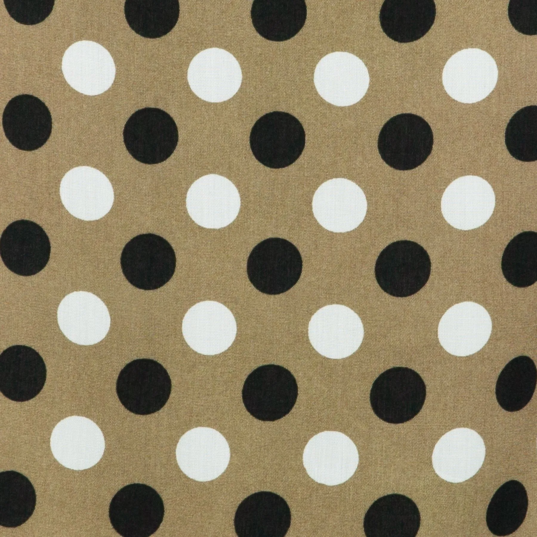 Box Top - Brown Polka