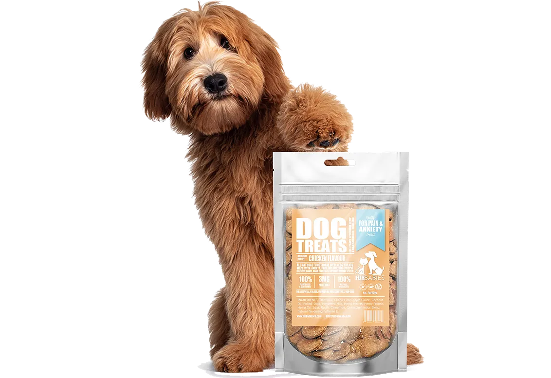 Furbabies - Natural Plant Based Edible Dog Treats