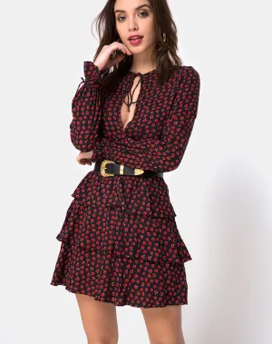 Kepsibelle Dress in Dotty Rose Black