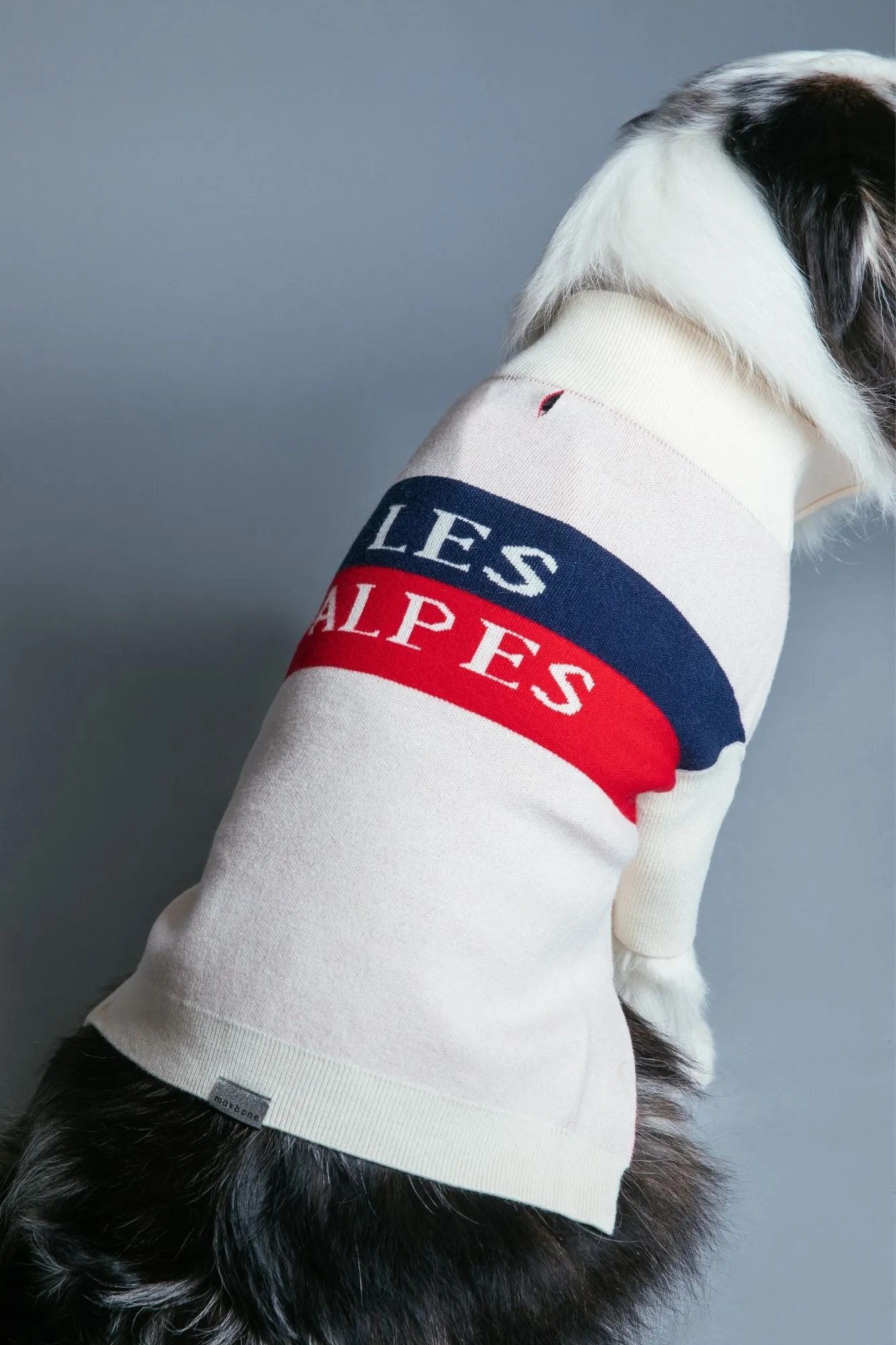 Les Alpes Jumper