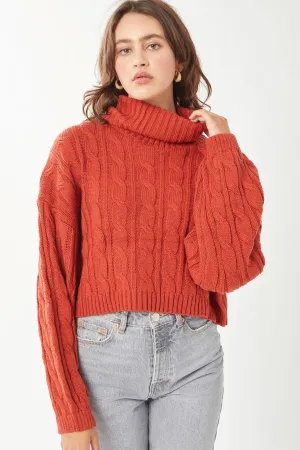 Loose Fit Cable Knit Turtle Neck Sweater