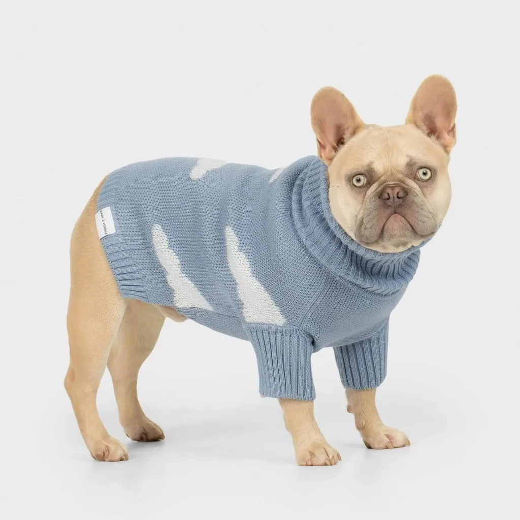 Never Stop Dreaming Dog Knit Jumper Baby Blue