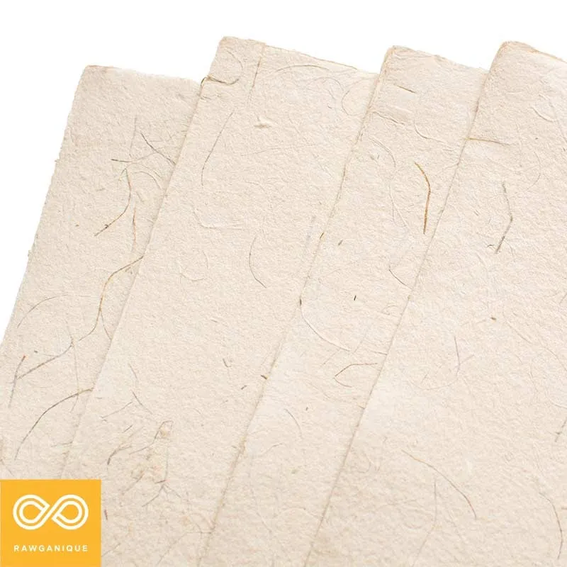 Okinawa Handmade 100% Hemp Paper (1 Sheet)