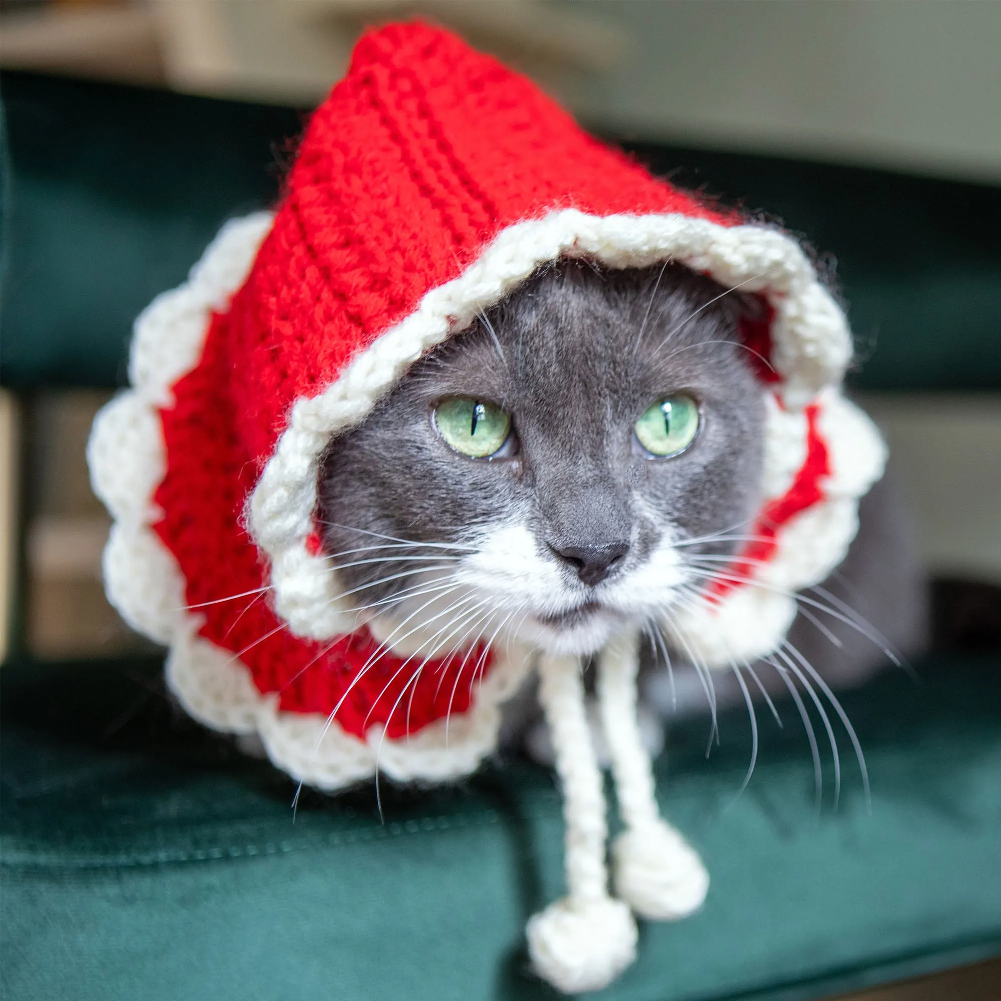 Red Heart Super Saver Crochet Santa Paws Hooded Cape