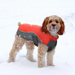 Rover Winter Dog Jacket