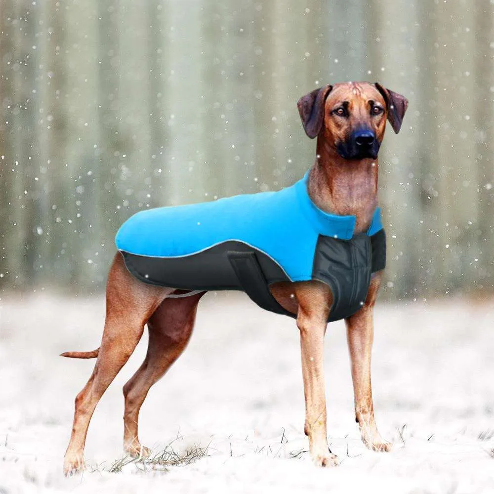 Rover Winter Dog Jacket