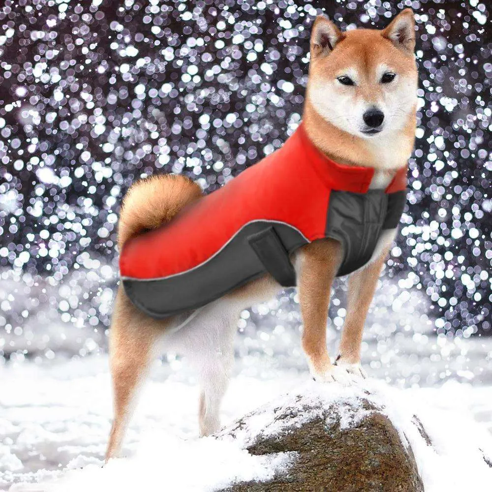 Rover Winter Dog Jacket