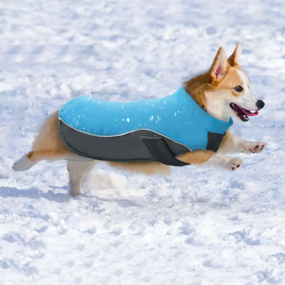 Rover Winter Dog Jacket