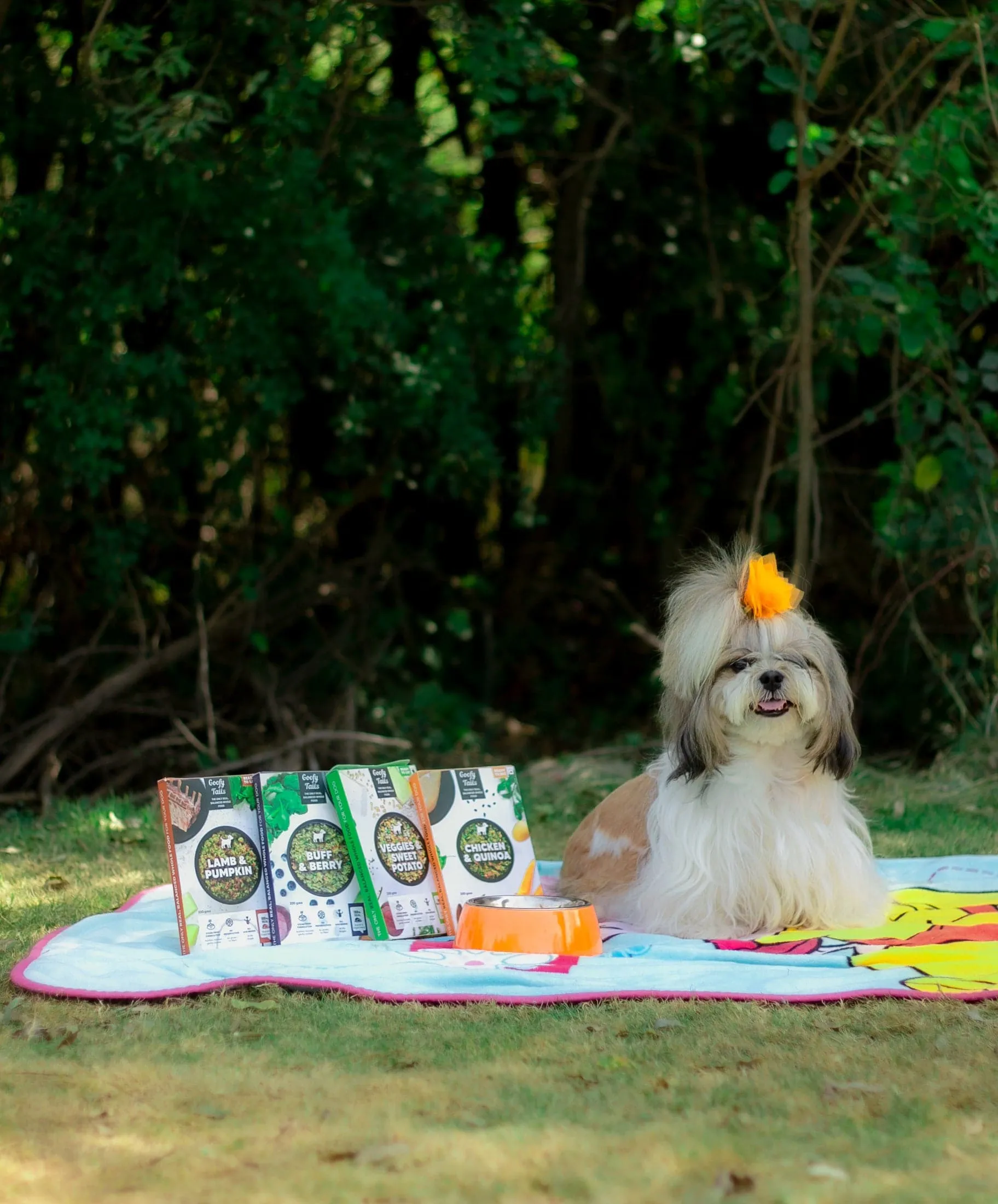 Veggies and Sweet Potato Fresh Food for Dogs and Puppies